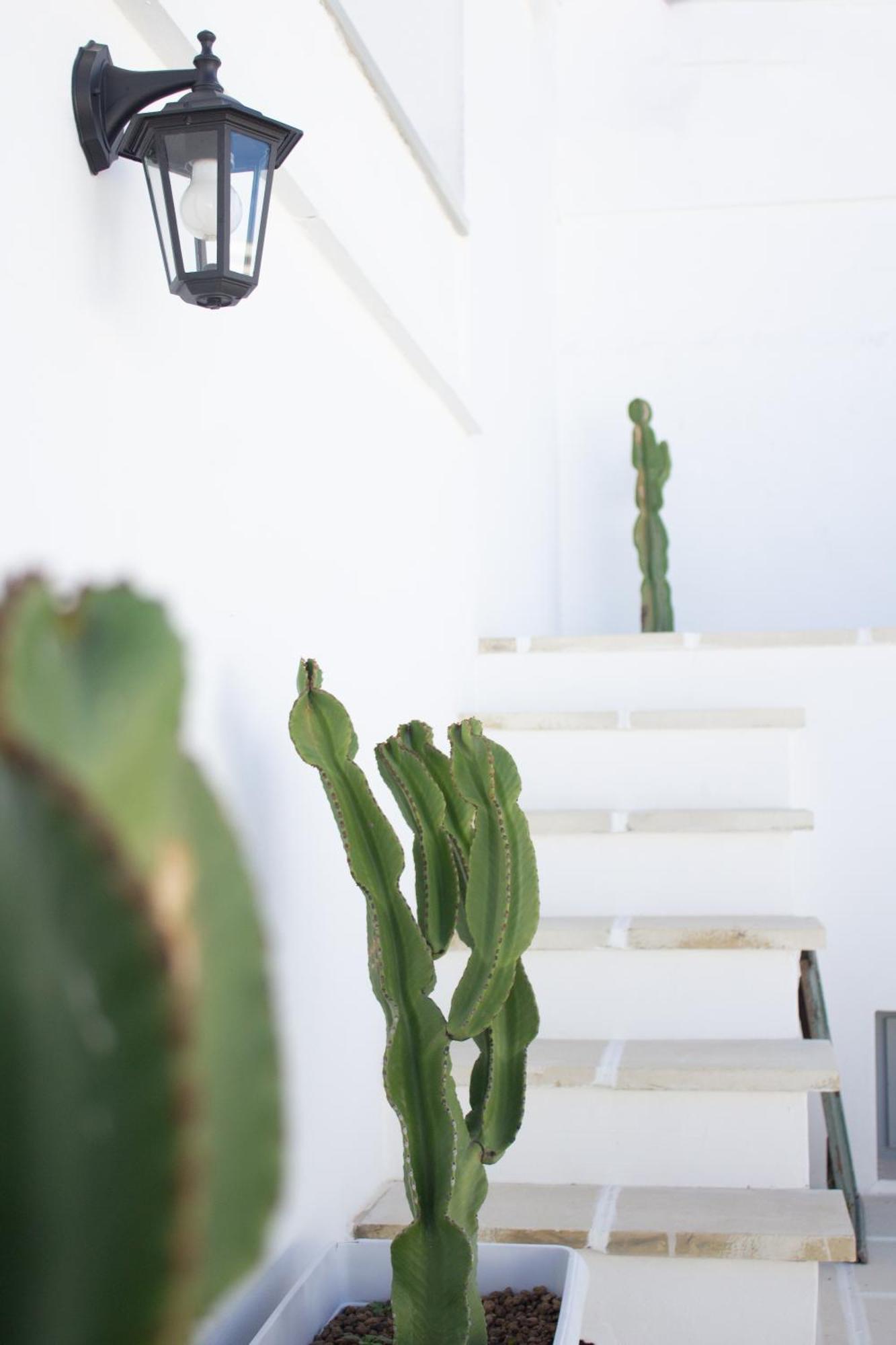 Dimora Laure Apartment Fasano Exterior photo